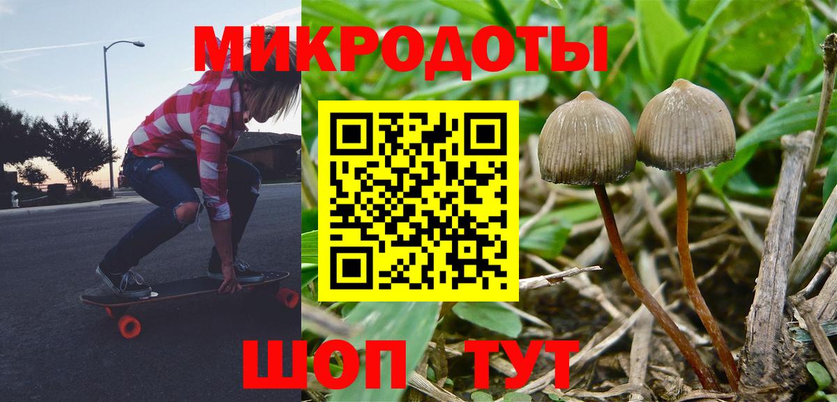 Галлюциногенные грибы прущие грибы Вышний Волочёк