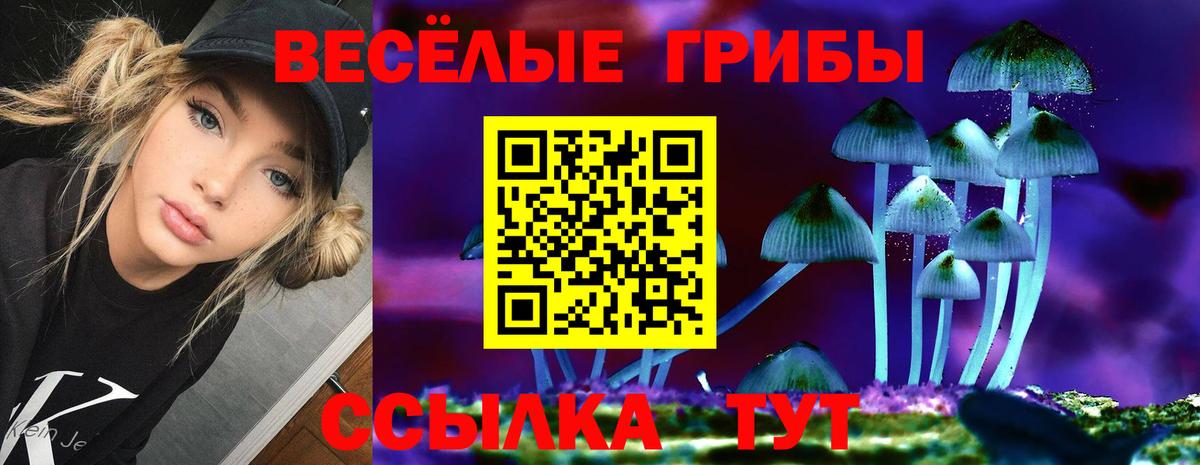 Псилоцибиновые грибы MAGIC MUSHROOMS  Вход с VPN  Вышний Волочёк 